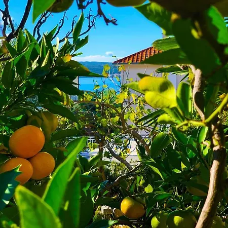 Julija * Crikvenica